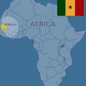 Profile Picture of Cheikh Diop (@162807814) on Myspace