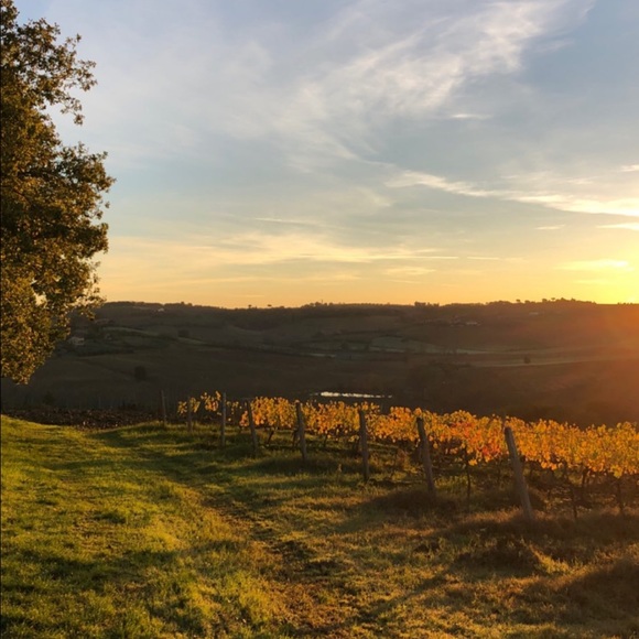 Profile Picture of Ana Zurn (@robbiezz) on Poshmark