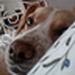 Profile Picture of Ana Guerreiro (@ana guerreiro) on Flickr