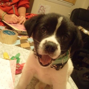 Profile Picture of Buddy Chambers (@225761106) on Myspace