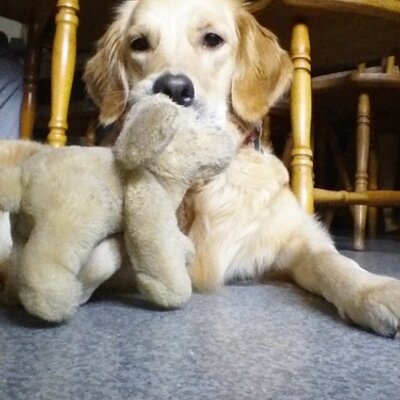 Profile Picture of Sandra Mullins (@sandramullins30) on Twitter