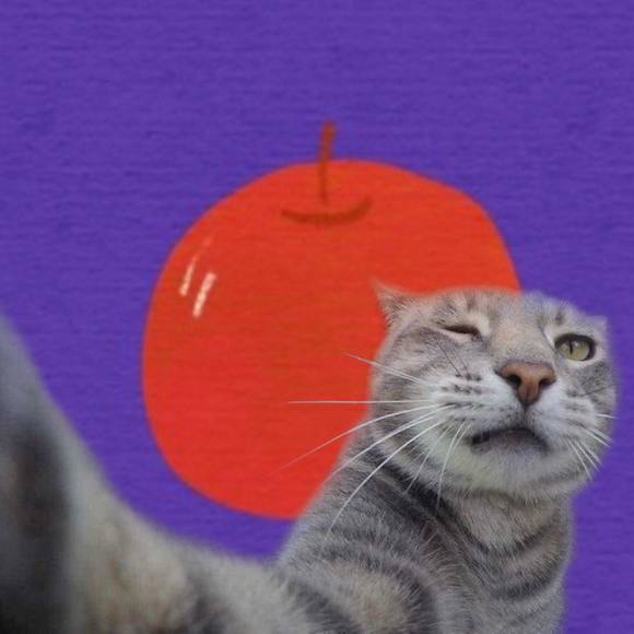 Profile Picture of Hyejung Seo (@hyejung) on Poshmark