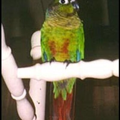 Profile Picture of Emily Quindt (@EmilyQuindt120) on Twitter