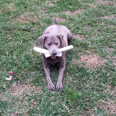 Profile Picture of Matthew Houston (@MHouston2020) on Twitter