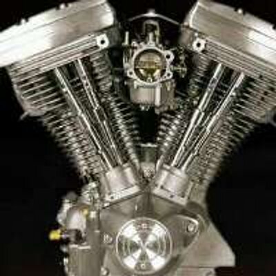 Profile Picture of Greg Pellicano (@sharkfinnn) on Twitter