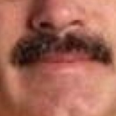 Profile Picture of Not Kevin Driessen (@Emu_Destroyer) on Twitter