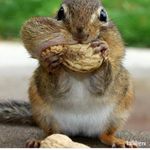 Profile Picture of Артём Жислин (@artiotm) on Instagram