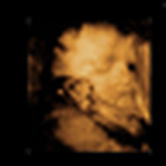 Profile Picture of Taylor & Tyler Petrie (@babypetrie) on Flickr