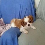 Profile Picture of Jimmy Cornwell (@cornwelljimmy) on Instagram