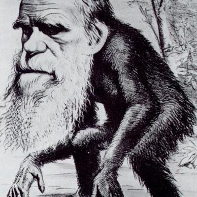 Profile Picture of Darwin Day (@PhylumFeast) on Twitter