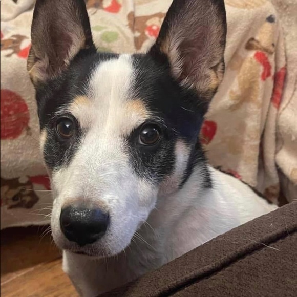 Profile Picture of Charles Webb (@cosmicviking) on Poshmark