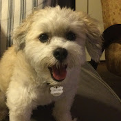 Profile Picture of Michael Desoto (@michaeldesoto4127) on Youtube