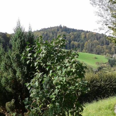 Profile Picture of Claudia Zegarra A. (@clauzegarra) on Twitter