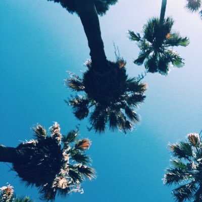 Profile Picture of Ivy James (@Nolah_Jay) on Twitter