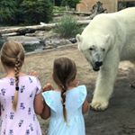 Profile Picture of Laura Stoos (@lstoos) on Instagram