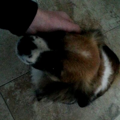 Profile Picture of Scott Anderton (@scotta6226) on Twitter