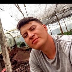 Harold D Caraballo - Tiktok Profile Picture of Harold D Caraballo (@harolddcaraballo0518) on Tiktok