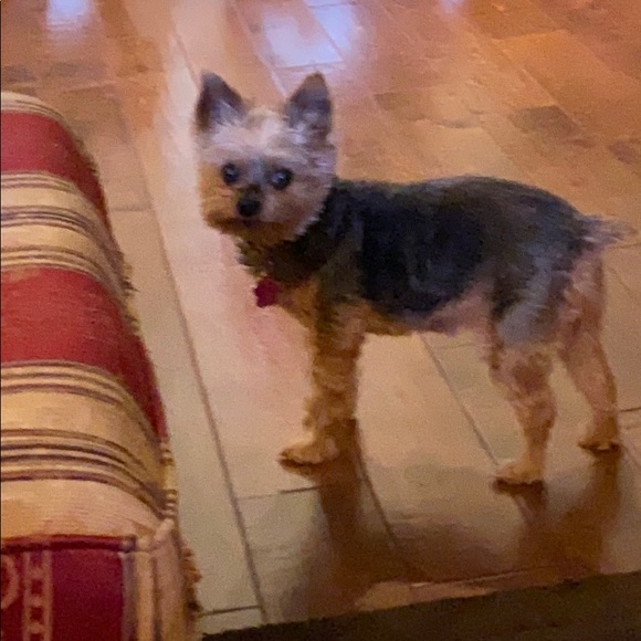 Christina Burleigh - Poshmark Profile Picture of Christina Burleigh (@tinabina10) on Poshmark