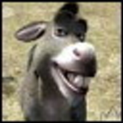 Profile Picture of Gena Davidson (@GenaDavidson8) on Twitter