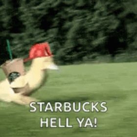 Profile Picture of Gabriel Garcia (@hamburger_28) on Pinterest