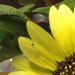 Profile Picture of Christie Keltner (@beverlygoodin1) on Pinterest