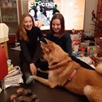 Profile Picture of Anika Schorlemmer (@anikascho) on Instagram