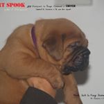 Dirk van de wardt - Instagram Profile Picture of Dirk van de wardt (@dirkvandewardt) on Instagram