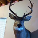 Jason Piket - Instagram Profile Picture of Jason Piket (@jason_piket1) on Instagram