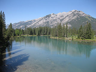 Profile Picture of Bow River - Wikipediaon Wikipedia