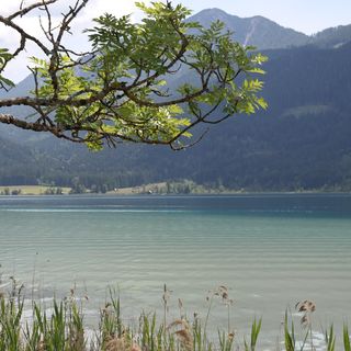 Profile Picture of Daniel Hund (@Daniel.Hund.Hirrlingen) on Facebook