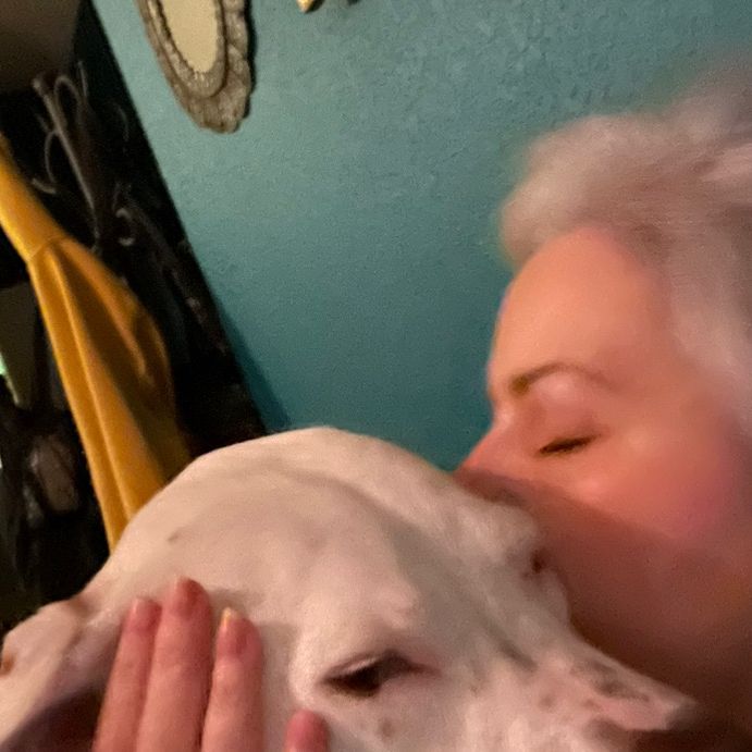 Lori - Tiktok Profile Picture of Lori (@appleseedsmom) on Tiktok