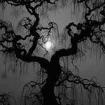 Profile Picture of Barbara Howarth Schroter (@b.a.hs) on Instagram