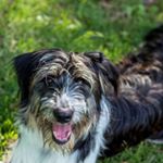 Profile Picture of James (@james.dawg123) on Instagram