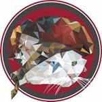 Profile Picture of υѕəd ѕтυғғѕ ‘ѕ ιѕland 𓅂 (@audrey.warehouse) on Instagram