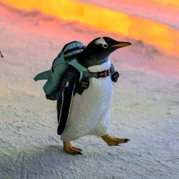 Molly Caisse - Poshmark Profile Picture of Molly Caisse (@mmcaisse) on Poshmark