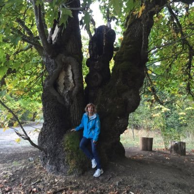 Profile Picture of Pam Ewart (@frankhobbs13) on Twitter