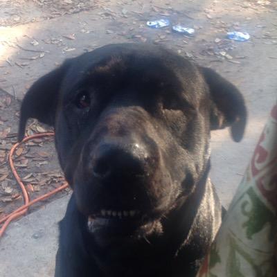 Profile Picture of Jesse Masse (@jesse_masse) on Twitter