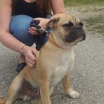 König Ludwig/ Luke - Instagram Profile Picture of König Ludwig/ Luke (@king_louiloui) on Instagram