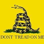 Bob Witt - Instagram Profile Picture of Bob Witt (@bobwitt13) on Instagram