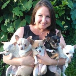 Profile Photo of Grace Kelly Herbert (@GKDogMom) on Twitter