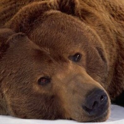 Profile Picture of Joe Woerner (@WoernerJoe) on Twitter