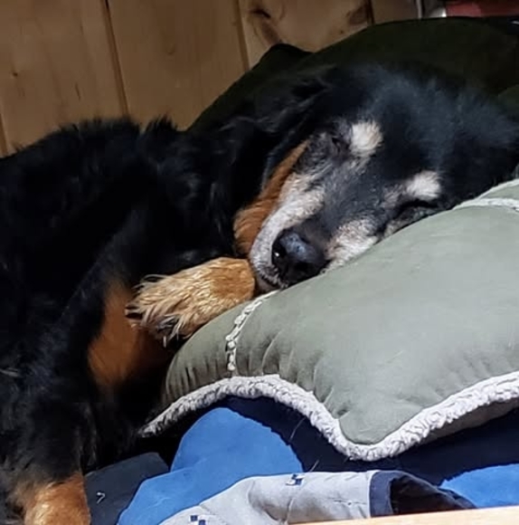 Profile Picture of Wendy Garton (@gartonwen) on Poshmark