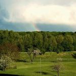 Profile Picture of Dirkman (@0pxoxoxd0) on Instagram