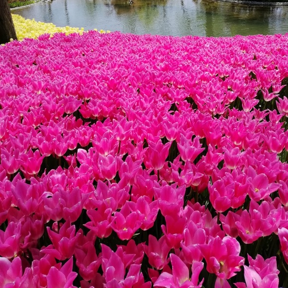 Profile Picture of Nazel Andrew (@nazel7747) on Poshmark