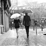 Profile Picture of tanyacronin (@tanyacronin) on Instagram