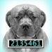 Profile Picture of John Pinder (@john.pinder.7) on Facebook