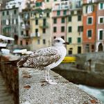 Profile Picture of Lai Benjamin (@lai.benjamin.754) on Instagram