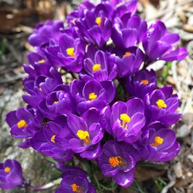 Profile Picture of Karen R (@justinaleepin) on Pinterest