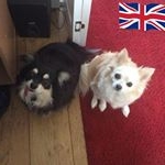 Profile Picture of Edith Grayson (@edith.grayson.5) on Instagram