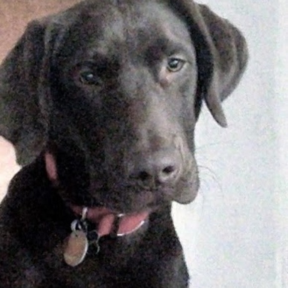 Profile Picture of Erin Pishko (@erinpishko) on Poshmark